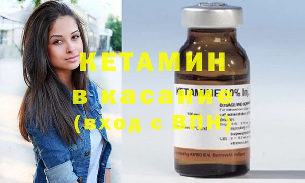 индика Аркадак