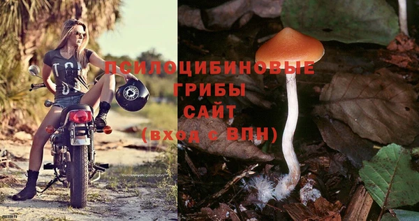 стафф Елизово