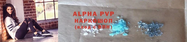 индика Аркадак