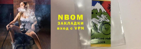 индика Аркадак