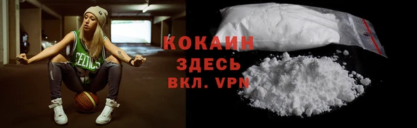 индика Аркадак