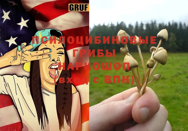 индика Аркадак