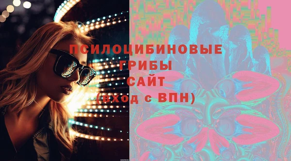 индика Аркадак