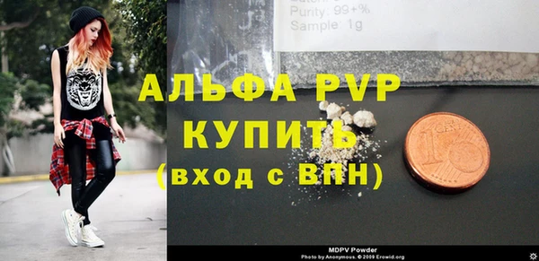 индика Аркадак